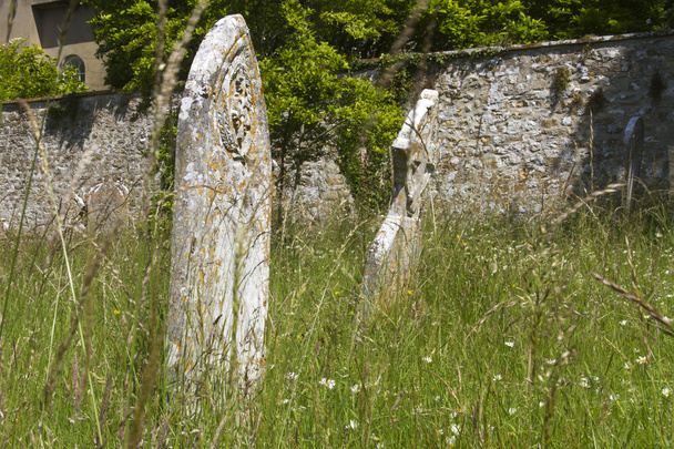 зарослих кладовищі, літо
 - Фото, зображення