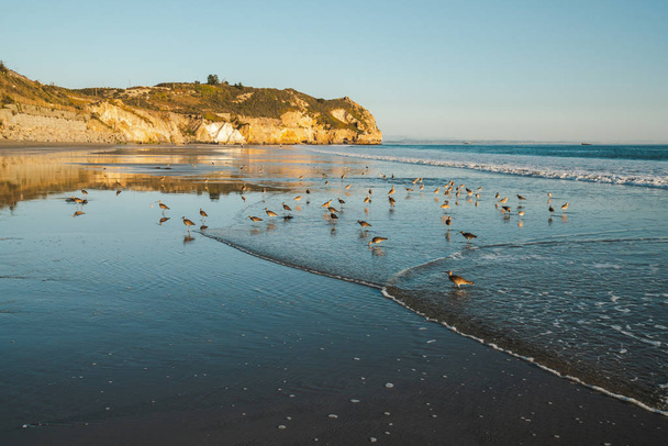 Закат на пляже и стадо птиц. Авила-Бич, красивое центральное побережье Калифорнии - Фото, изображение