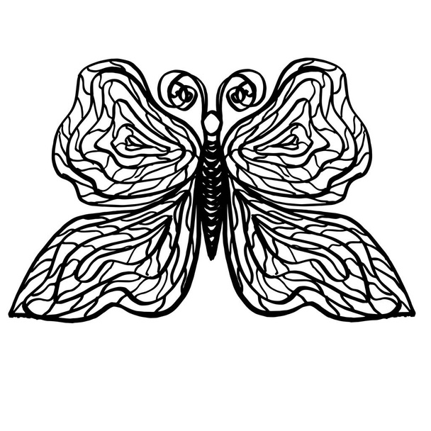 Primer plano mariposa abstracta sobre fondo blanco aislado.Diseño de tatuajes para niños, libros para colorear, cubiertas, ropa de impresión
. - Foto, imagen