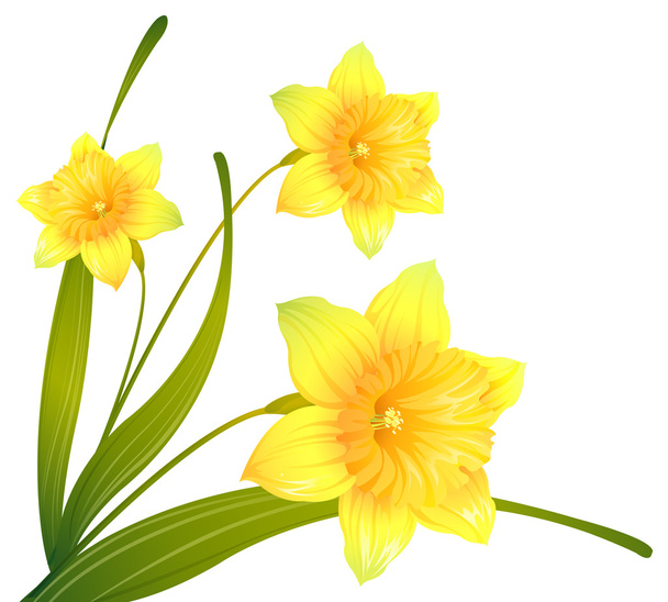 Yellow flower - Photo, Image