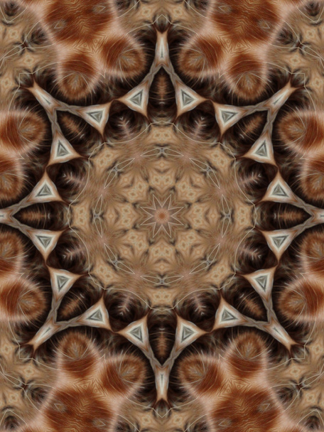 étoile mandala brun
 - Photo, image