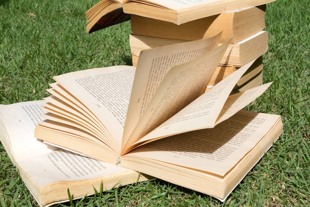 Open books outside on grass - Photo, Image