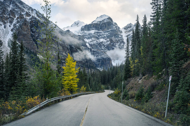 Driving on highway with rocky mountains in autumn forest at Moraine Lake, Alberta, Canada - Фото, изображение