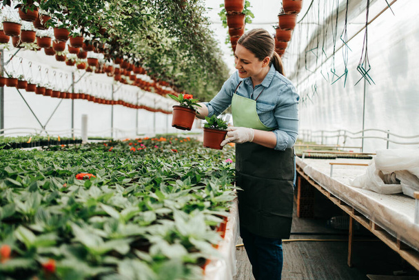 Happy and positive young adult woman working in greenhouse and enjoying in beautiful flowers. - Zdjęcie, obraz