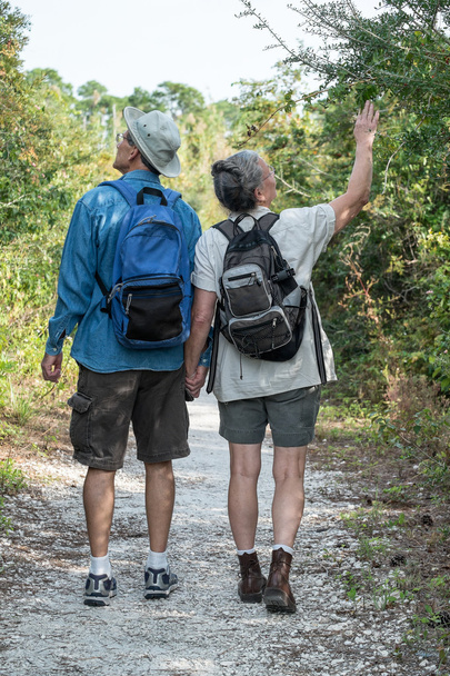 Happy Mature Couple Hiking on Nature Trail Holding Hands - Foto, immagini