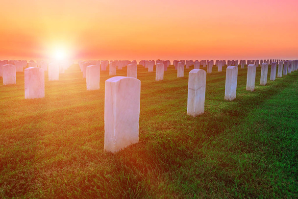 cimetière de guerre américain
 - Photo, image