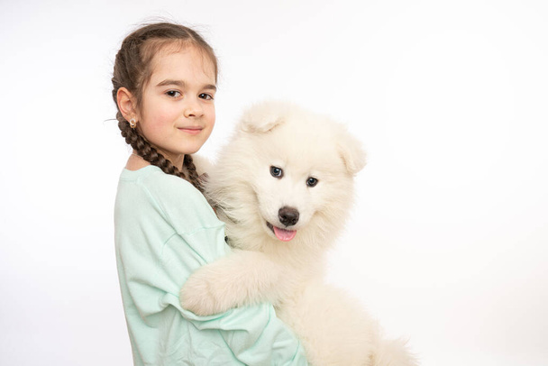 Attractive little girl in blue hoodie holds in her hands little white samoyed puppy and looking at the camera, isolated over white background - Zdjęcie, obraz