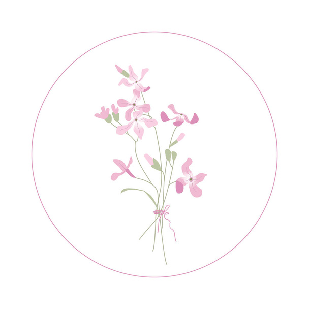 Pink matthiola. Delicate garden flowers. Summer bouquet. Botanical illustration Floral pattern. Floristry - Vektor, kép