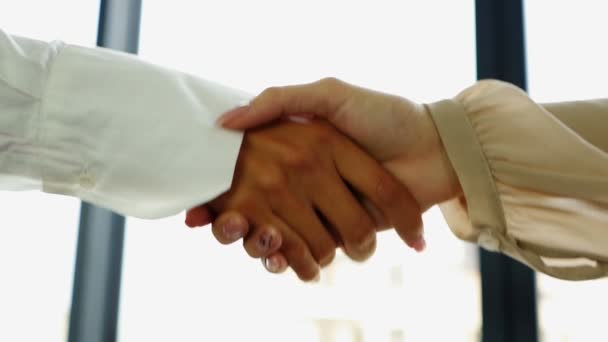 zwei Geschäftspartnerin, geben sich beim Treffen die Hand. Zeitlupe - Filmmaterial, Video