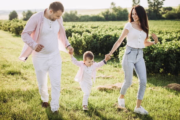 Happy family posing on a green field - Photo, Image