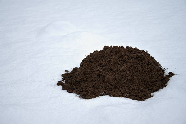 Molehill de toupeira congelado fresco na neve de tempo de inverno
. - Foto, Imagem