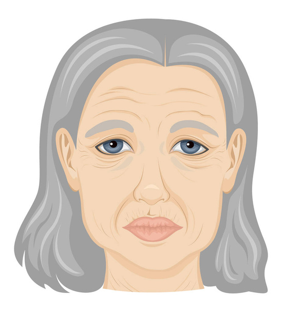 Ilustração rosto de uma senhora idosa
 - Vetor, Imagem
