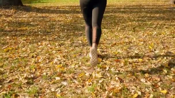 Closeup 4k video of camera slowly moving from feet to head of beautiful sporty woman jogging at autumn park - Séquence, vidéo