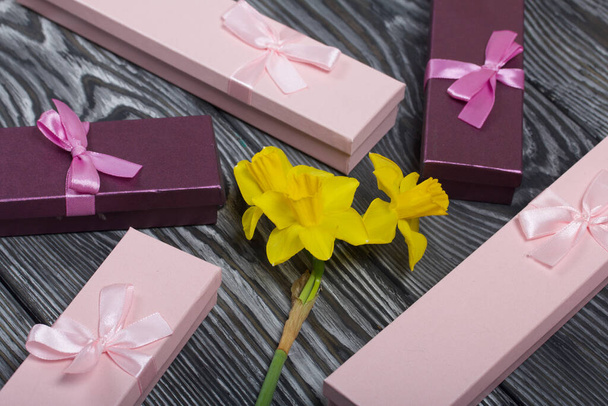 A bouquet of yellow daffodils lies on the surface of brushed pine boards. Near cardboard boxes with gifts. Pink and lilac, decorated with ribbon bows. - 写真・画像