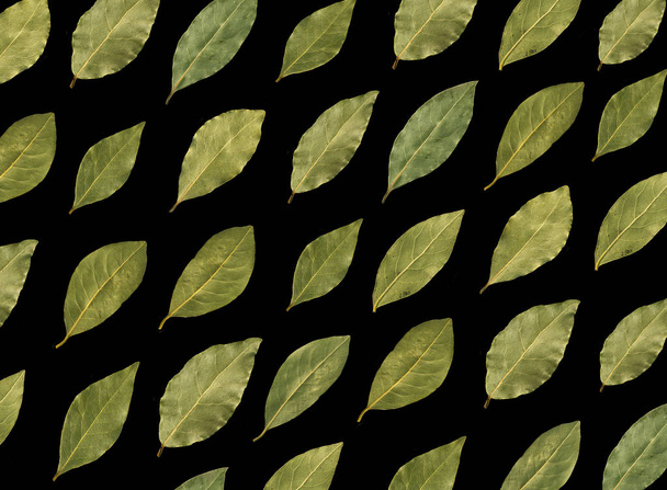 Dried bay leaves isolated on black background  - Photo, Image