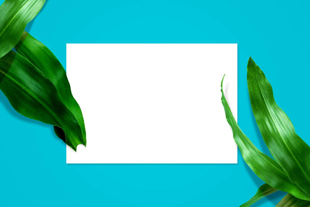 Tropical leaves in vibrant color on blue background. White space for copy space - Foto, immagini
