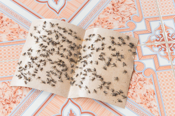Top view sticky fly tape with many flies trapped on ceramic floor tile. Extremely sticky surface paper trap. Popular insect collecting method in Vietnam and Asia countries - Photo, Image