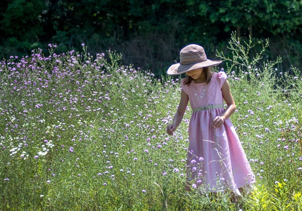 grazioso bambino in un abito rosa raccoglie fiori in un campo pieno di fiori
 - Foto, immagini