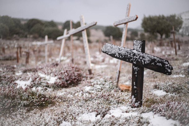 śnieżny cmentarz naturalny z krzyżami - Zdjęcie, obraz