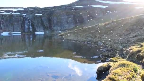 Mnoho komárů přeletělo nad alpským jezerem. Jezero se nachází v blízkosti národní turistické sněhové silnice Aurlandsvegen (f243) klobouk běží přes hory. Norsko. - Záběry, video