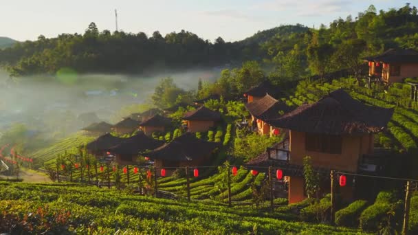 La plantation de thé sur le parc naturel vert le matin Montagnes d'air frais lumière du soleil et brouillard arrière-plan village chinois à Ban Rak Thai, Mae Hong Son, THAÏLANDE. (Langue de traduction à la bonne chance
) - Séquence, vidéo