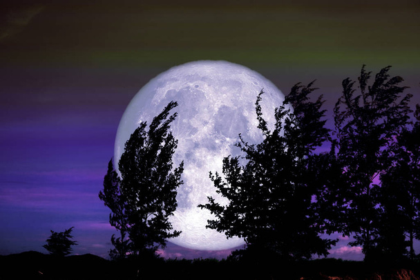 満月と夜空のシルエットの木、 NASAによって提供されたこの画像の要素 - 写真・画像