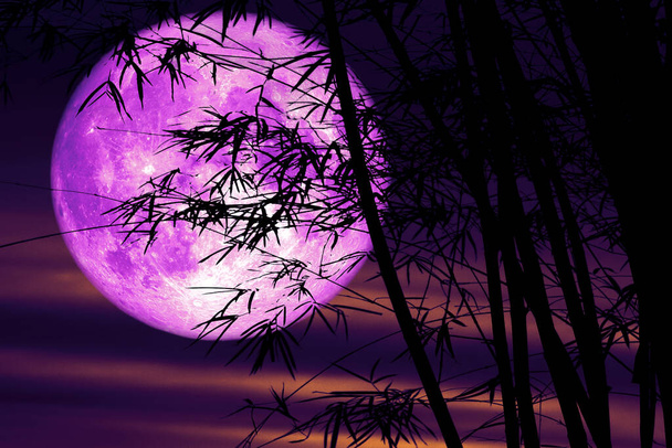 różowy Full Hunger Moon na nocnym niebie z powrotem sylwetka drzewa i chmury, Elementy tego obrazu urządzone przez Nasa - Zdjęcie, obraz