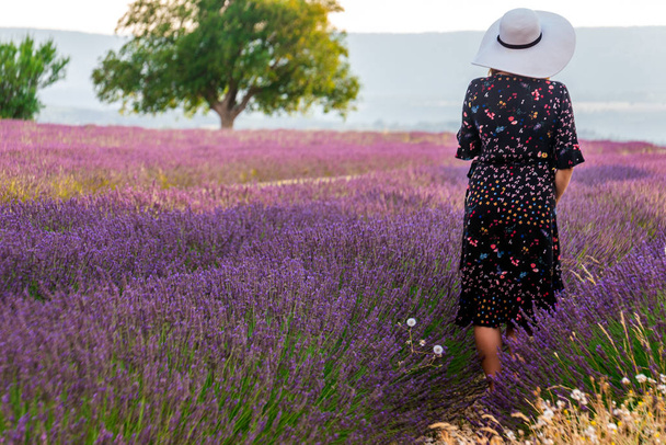 Mädchen in einem Kleid mit Blumen und großem weißen Hut in den Lavendelfeldern in der Provence, Valensole, Frankreich. Malerische Sommer-Naturlandschaft und landwirtschaftliches Gebiet. Beliebtes Reiseziel. - Foto, Bild
