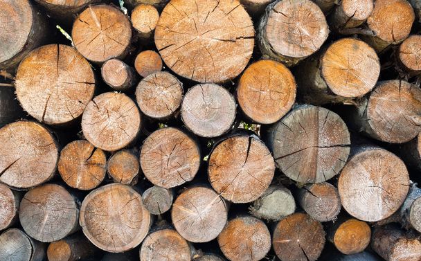 Stack of firewood. Woodpile. Wood logs. Wood for the winter. Firewood background.  - Valokuva, kuva