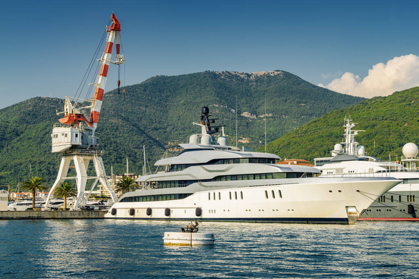 Sunny view of luxury yacht at the port of Tivat, Montenegro. - 写真・画像