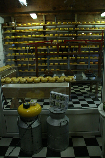 Prateleiras cheias de queijo diferente
 - Foto, Imagem