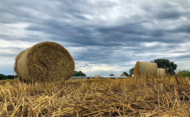 Summer storm looms over hay field in the Kempen area, Belgium - Photo, Image