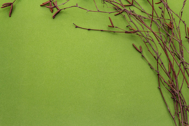 Birch branches on bright green background. Easter background. Zero Waste concept, top view, copy space - Fotó, kép