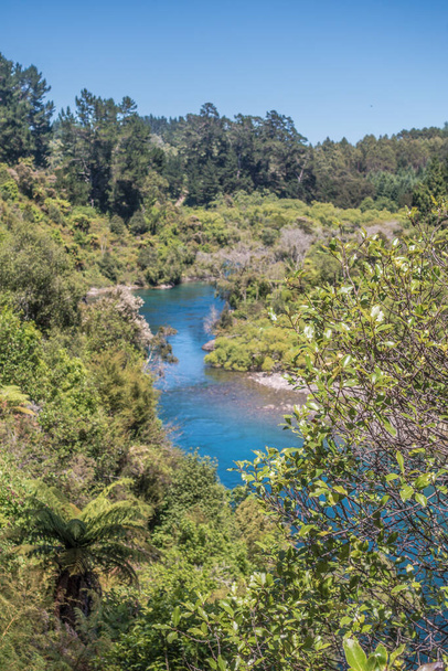 Idyllic nature around Waikato River, New Zealand. Royalty free stock photo. - Foto, afbeelding