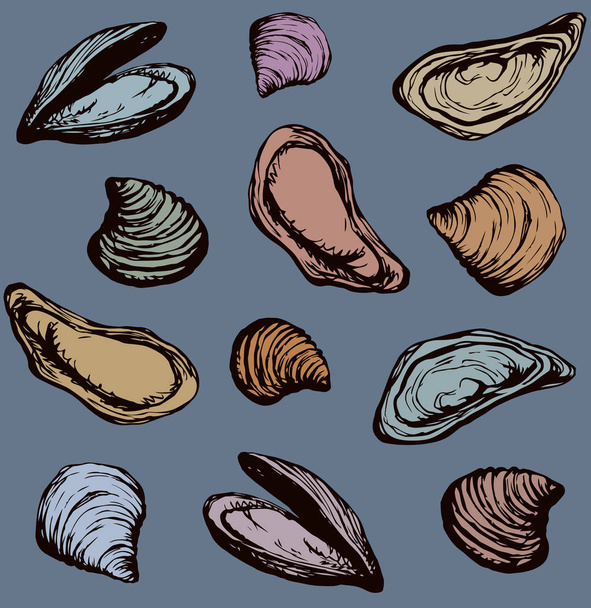 Big fresh perl Ostreidae mollusc on dark backdrop. Outline black ink hand drawn french diet delicacy dining icon sign design sketchy in retro art cartoon doodle engraved style pen on grey paper - Vector, Image