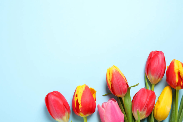 Beautiful spring tulips on light blue background, flat lay. Space for text - Фото, изображение