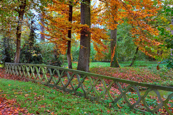 İtalya sonbahar park. - Fotoğraf, Görsel