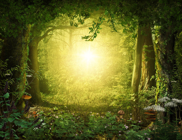 Prachtige betoverende magische weelderige bos leidt tot een hemels licht, 3d renderen. - Foto, afbeelding