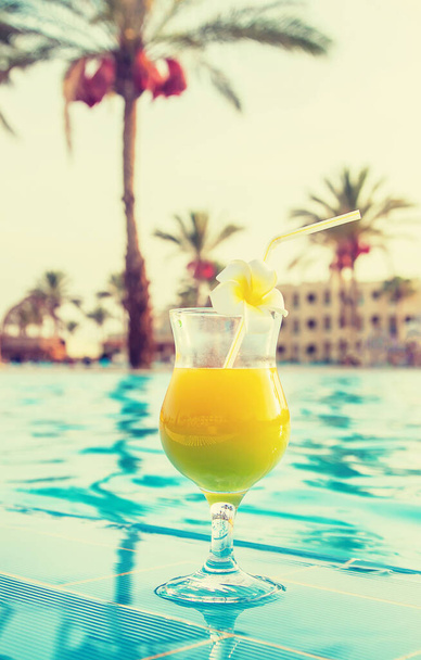 boire un cocktail en vacances. Concentration sélective. nature - Photo, image