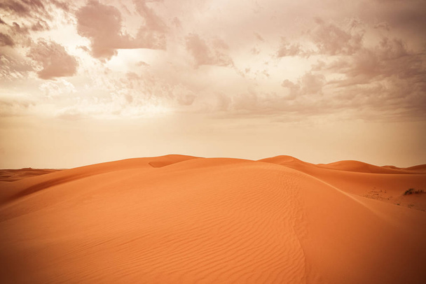 Homokdűne a szaúdi sivatagban - Gyönyörű arab sivatag - Fotó, kép