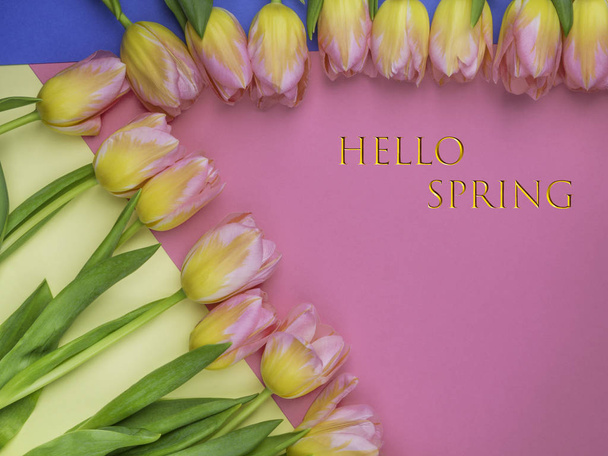 fris mooie multi kleur tulpen op violette roze en blauwe achtergrond, met gouden tekst, voorjaarsvakantie wenskaart concept - Foto, afbeelding