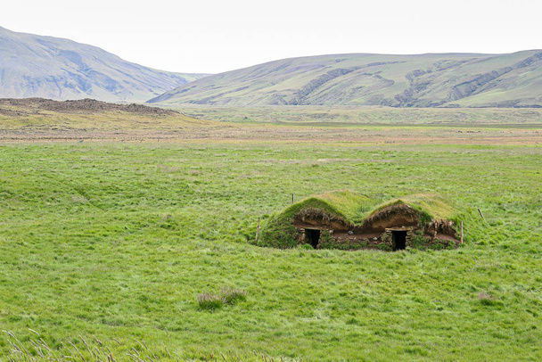 Очень старые традиционные исландские здания с травой на крыше на большом пышном зеленом поле
 - Фото, изображение