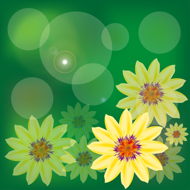 Flower background - ベクター画像