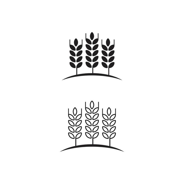 Tarım buğday vektörü tasarımı illüstrasyonu - Vektör, Görsel