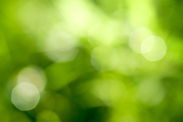 Abstract green natural backgound - Photo, Image