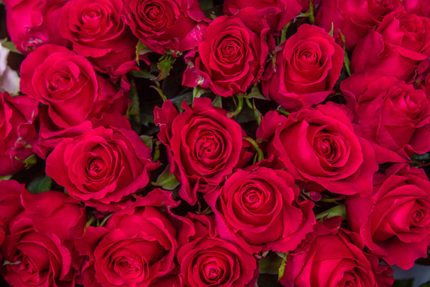 Κόκκινα τριαντάφυλλα. Εορταστικό φόντο. Έννοια γάμου και γενεθλίων. - Φωτογραφία, εικόνα