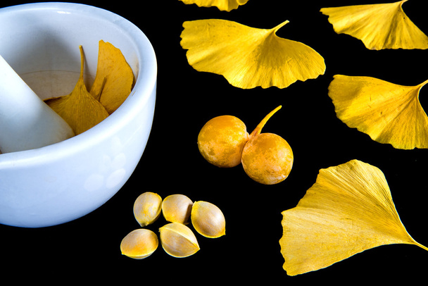 Ginkgo leaves and fruits with mortar - Photo, Image
