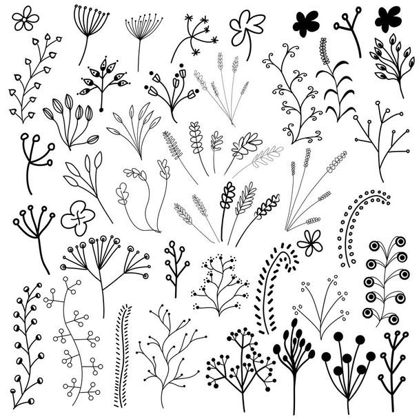 Set aus handgezeichneten Doodle-Blumen, Blättern und Zweigen. Isoliert auf weißem Hintergrund. - Vektor, Bild