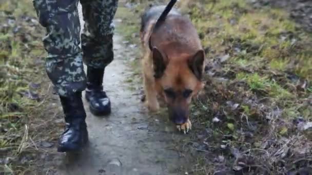 Kutya és egy katona járőröznek a határon. - Felvétel, videó
