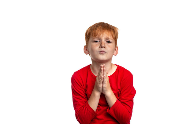 Waist up portrait of attractive red-haired boy wearing  red shirt, isolated on white. He emotionally begs or asks for something by folding his palms together - Photo, Image
